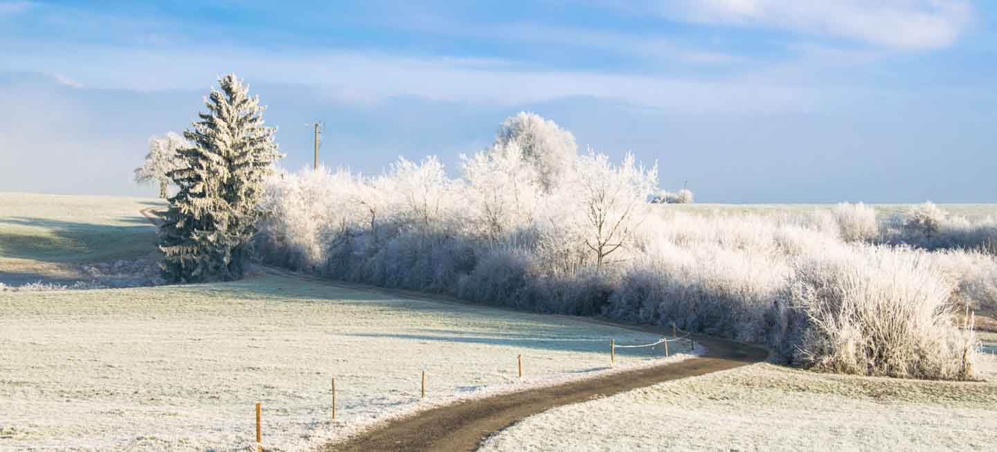 Winterlandschaft