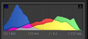 beschnittenes RGB-Histogramm Palmblatt