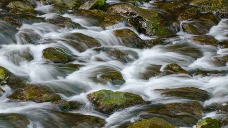 Naturfotografie - Fotografieren in der Natur ist sehr beliebt