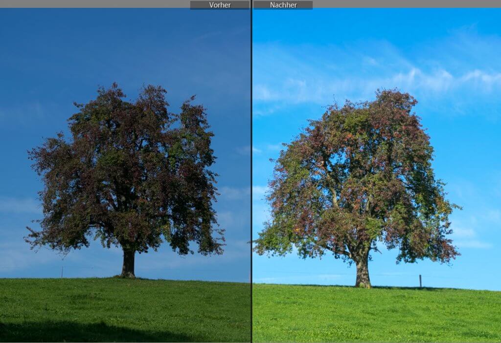 Tonwert-Korrektur in Lightroom