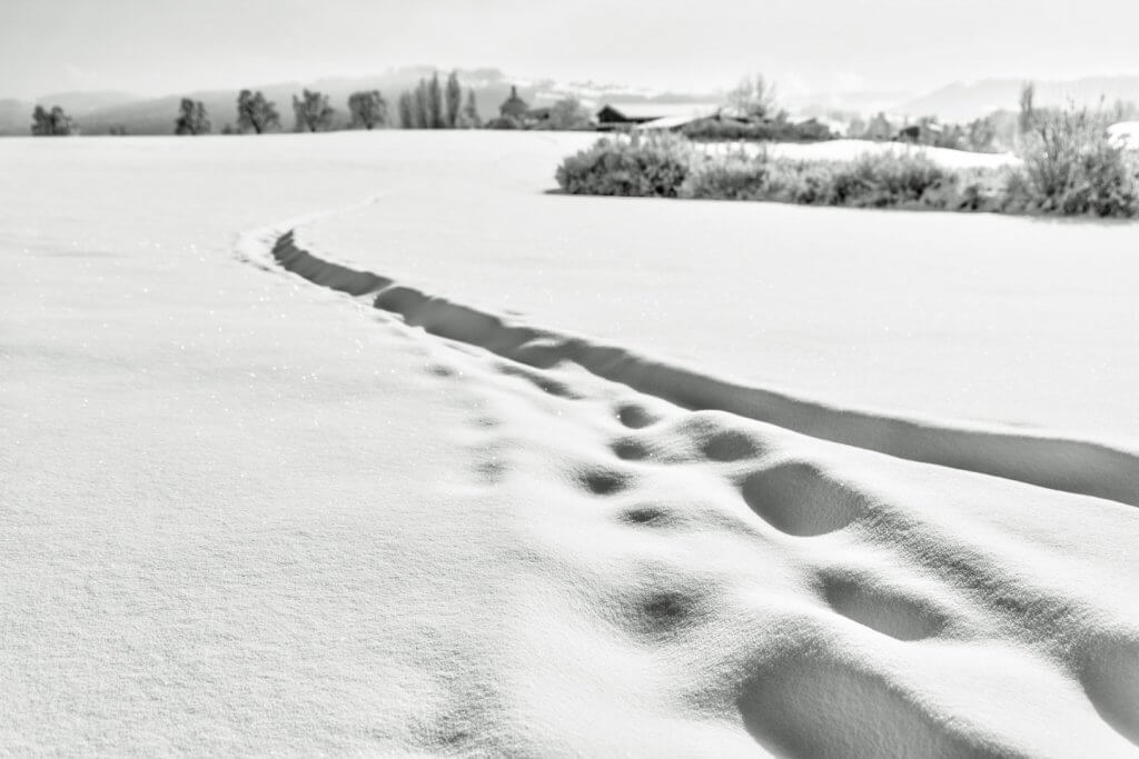 Fotografieren im Winter