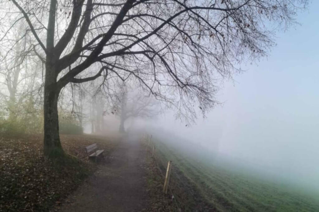 Spazierweg im Herbst mit Nebel