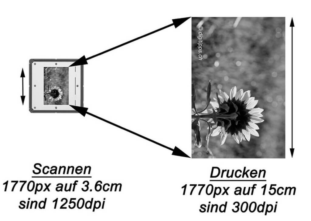 Negative digitalisieren und scannen