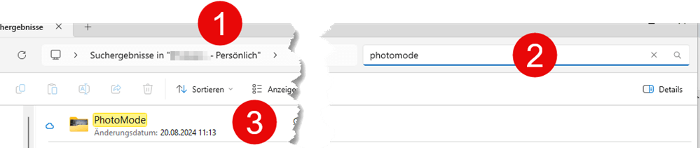 Speicherort Photomodus Train Sim World